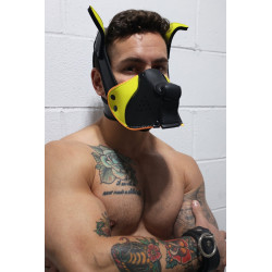 Breedwell Masque Poundtown Pup Breedwell Noir-Jaune